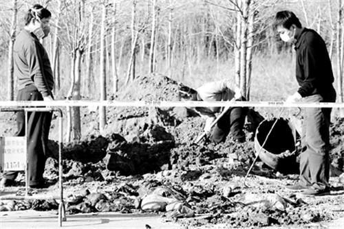 无头血案,迷雾重重的死亡之谜